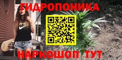 кокс Камышлов